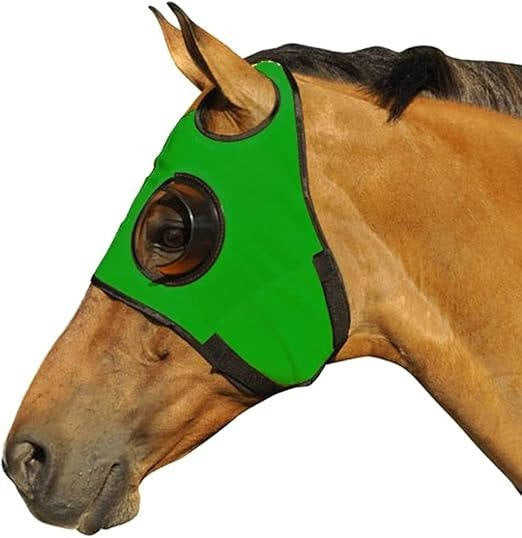 Anteojeras para caballo