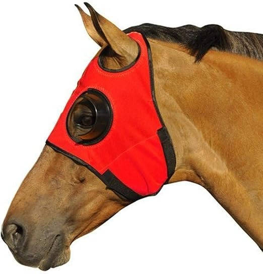 Anteojeras para caballo