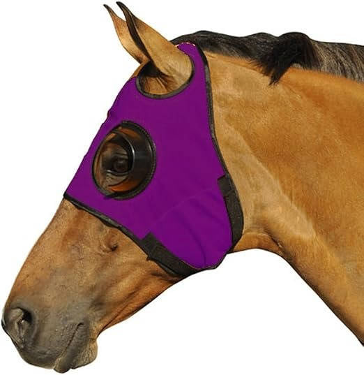Anteojeras para caballo