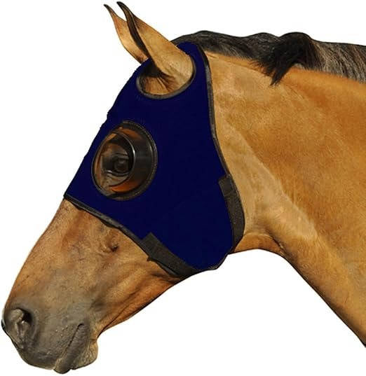 Anteojeras para caballo