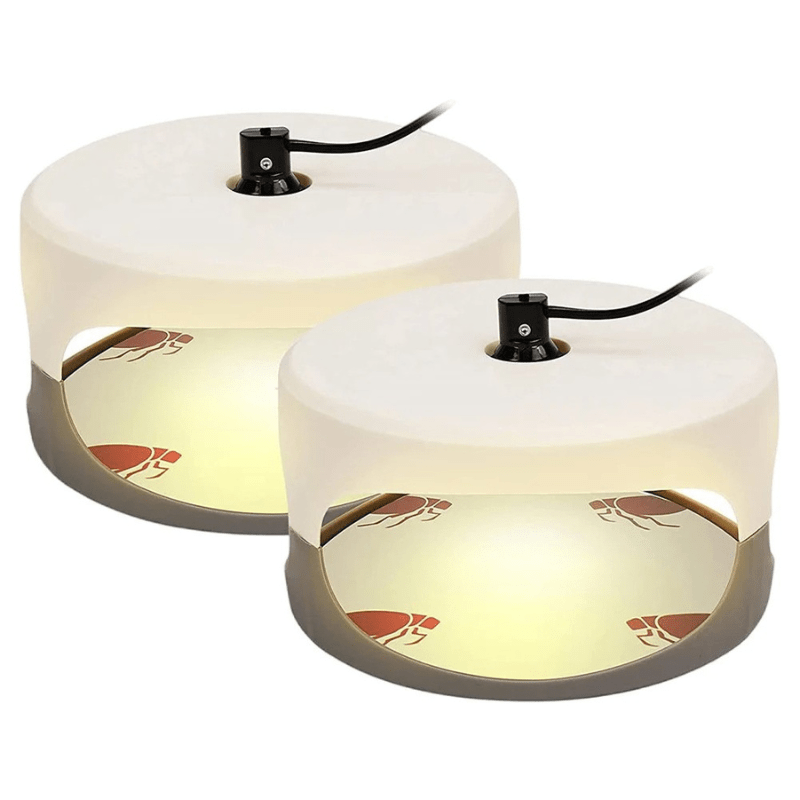 Indoor Bed Bug Trap - TRENDVYO