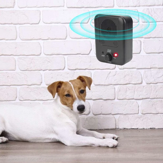 Dispositivo antiladridos para perros