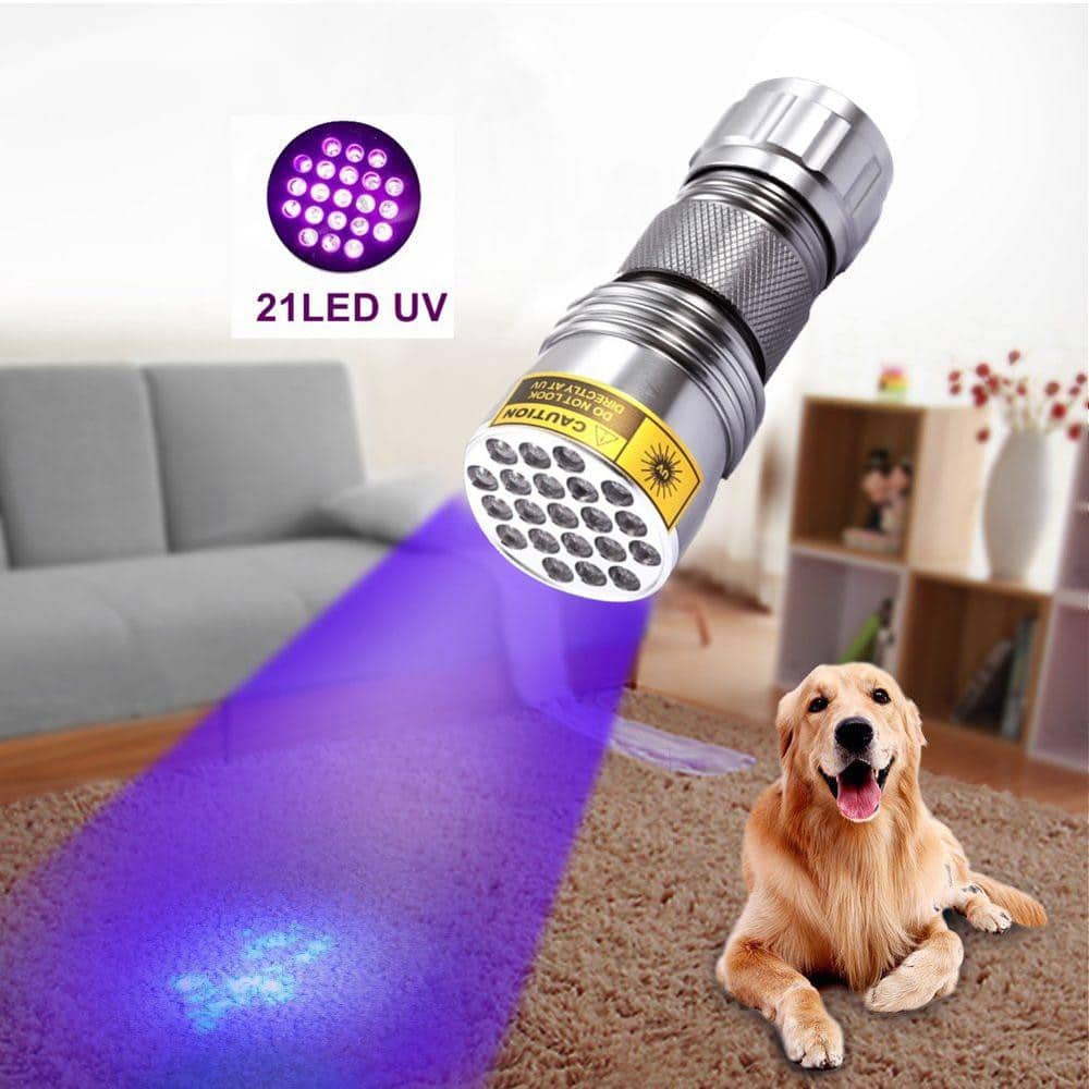Powerful 21 LED pocket UV lamp - TRENDVYO