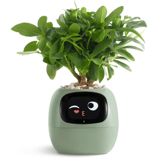 Smart Plant Pot Ivy - Innovative Plant Care - TRENDVYO