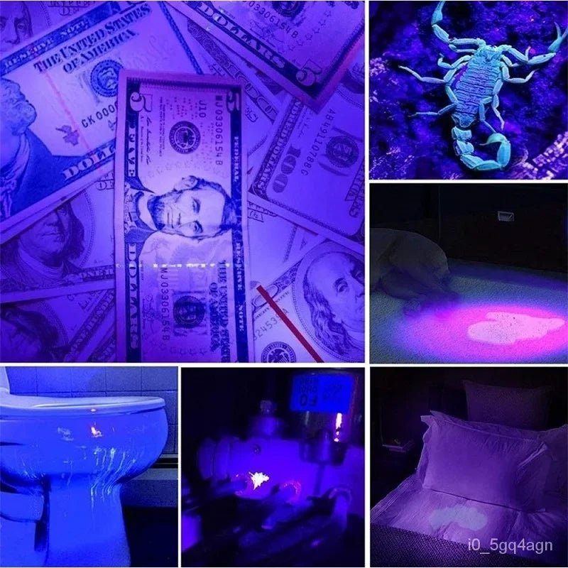 UV Flashlight for Bed Bug Detection and Stain Finder - TRENDVYO