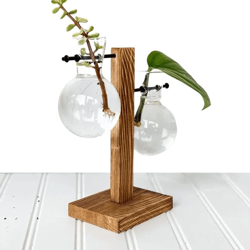 Wooden Frame Hydroponic Plant Vase - TRENDVYO
